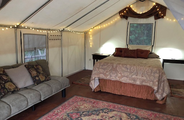 Wildlife, Nature, Glamp #3