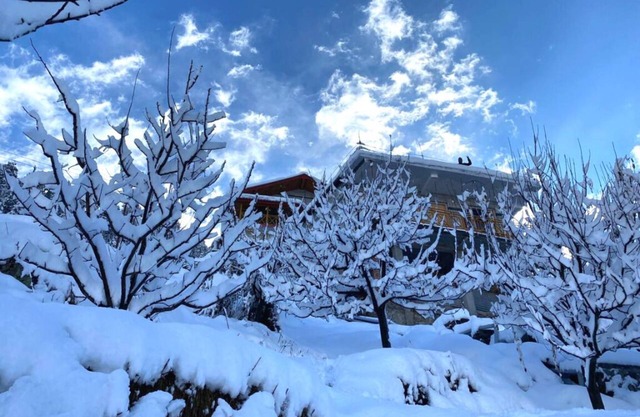 Willow Way - A Dream Wooden Cottage in Himalayas