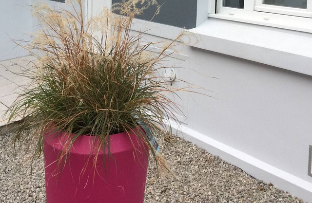 Wimereux Cottage 7 people 2 steps from the beach and the center