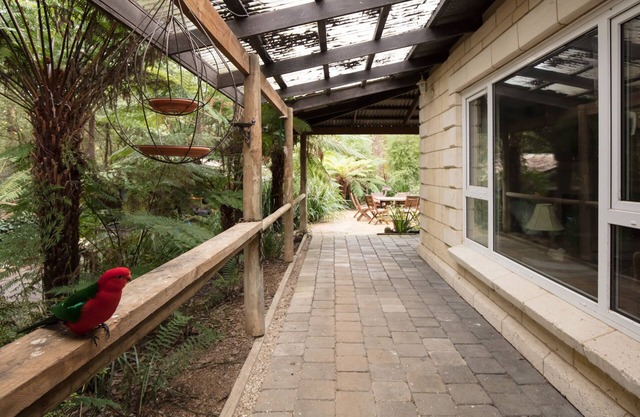 Windmill lodge: Private rainforest with river