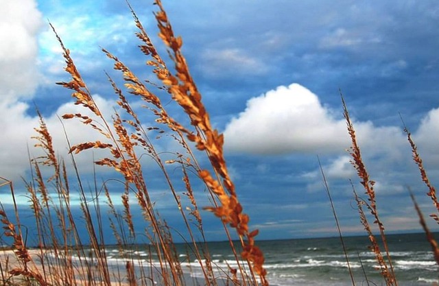 Winter in Historic Artsy Cottage on Fabulous Sunset Beach!