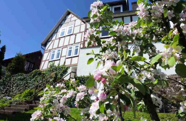 Wohnung in der Nähe des Skigebietes Battenberg