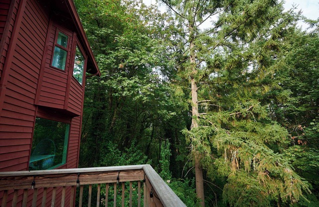Wooded Hillside Retreat w/Heated indoor Pool