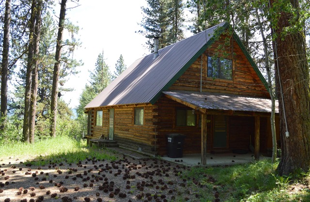 Woodland cabin with screened porch & meadow views - near town, with internet