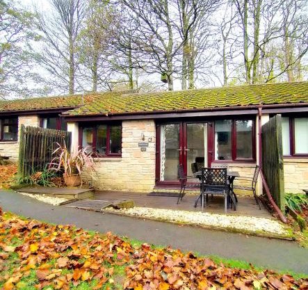 Woodland View - Families & Pets