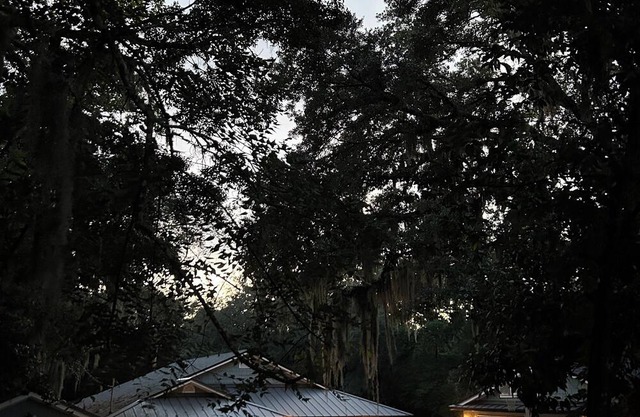 Woodsy 3-bedroom retreat on 600 acre nature preserve in Jacksonville near beach