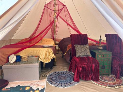 #Y7 Whole New World Yurt