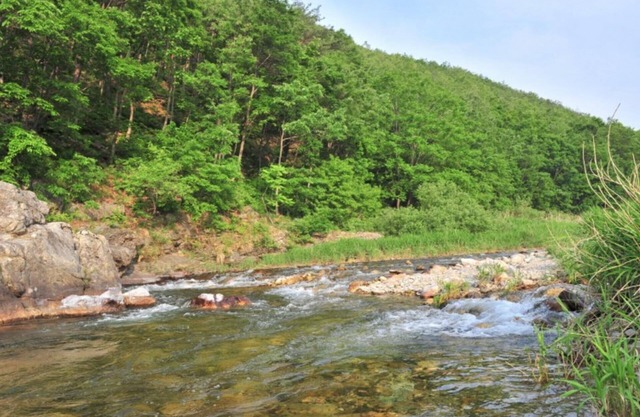 Yangyang Pool&valley Camping Place