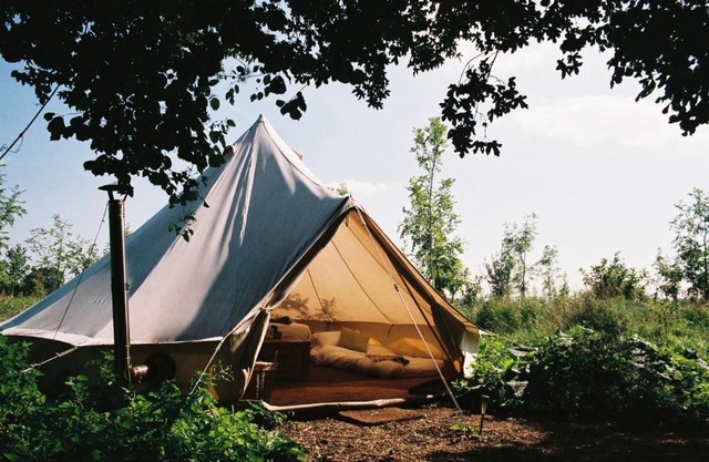 Yertis - The Farm Camp