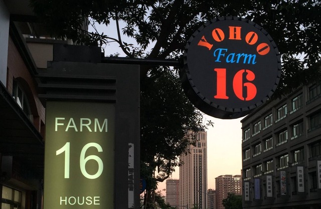 YO HOO 16 House