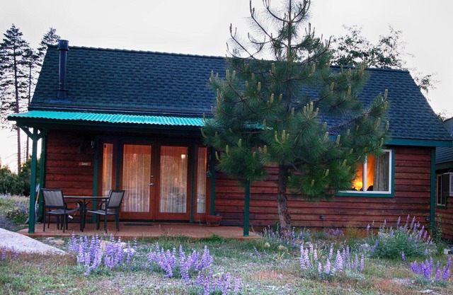 Yosemite Hilltop Cabins, Sage Cabin,15 min to the Valley floor, Wifi