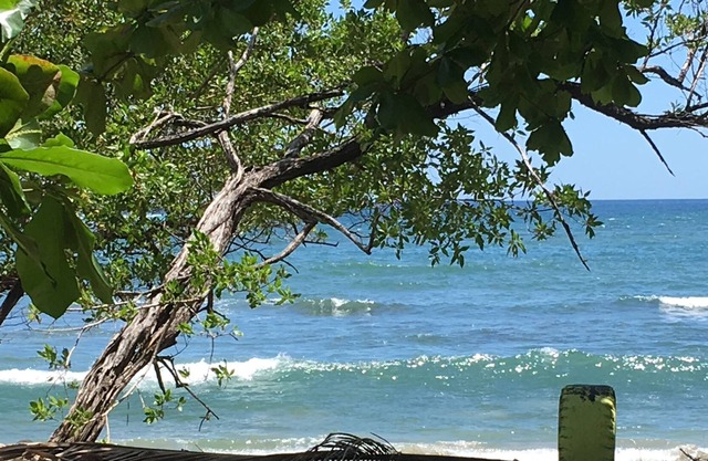 You imagine Costa Rica? Our location being on the beach is what You imagine:)