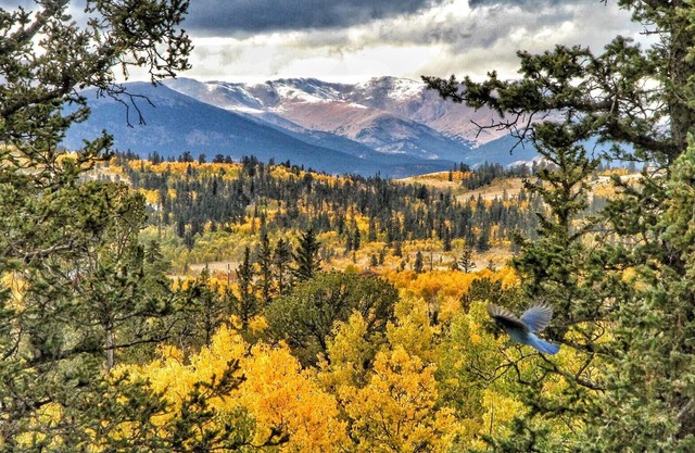 Your Colorado Mountain Getaway!