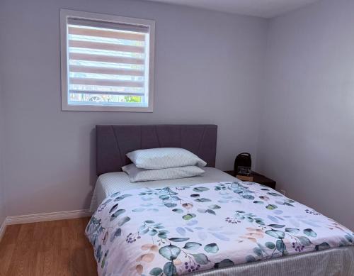 Your Cozy Home