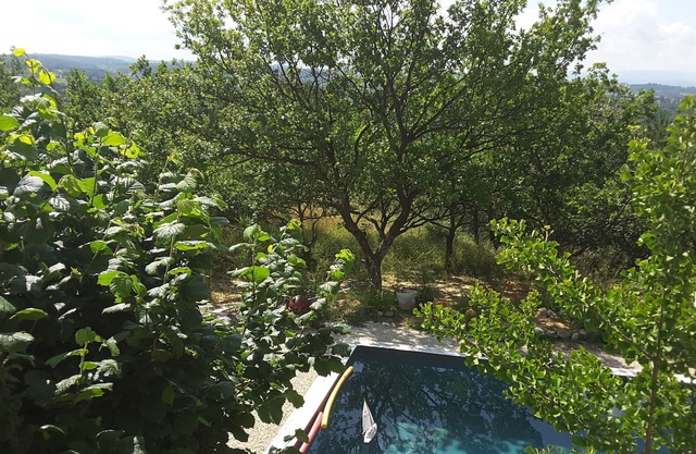 Your holidays in the Luberon