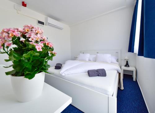 Zama Hotel