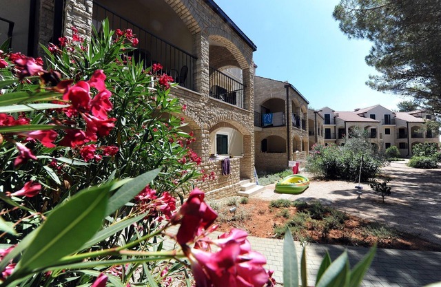 Zaton Apartment Near Sea Beach