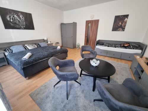 Plzen Apartment | Černý Tulipán - Apartmán 1