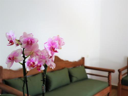 Kithnos Hotel | ΤΟ ΚΑΜΙΝΙ ΤΟΥ ΜΗΛΑ