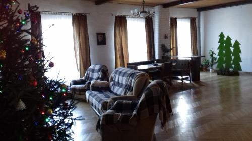 Dilyatyn Apartment | Візерунок