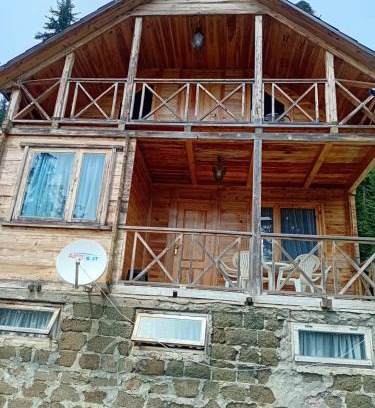Bakhmaro House | Котдж влесу