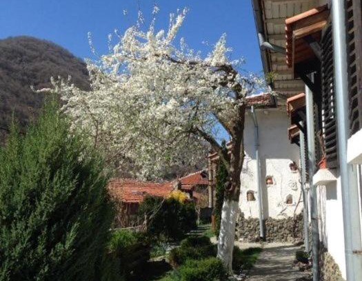 Simitli House | Къща за гости Спасителна