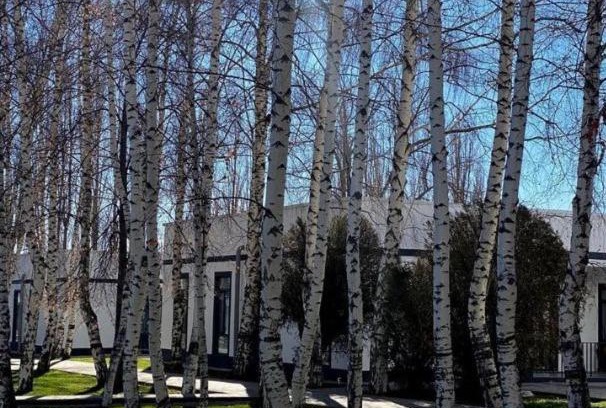 Cholpon-Ata House | ЦО.Atlantis