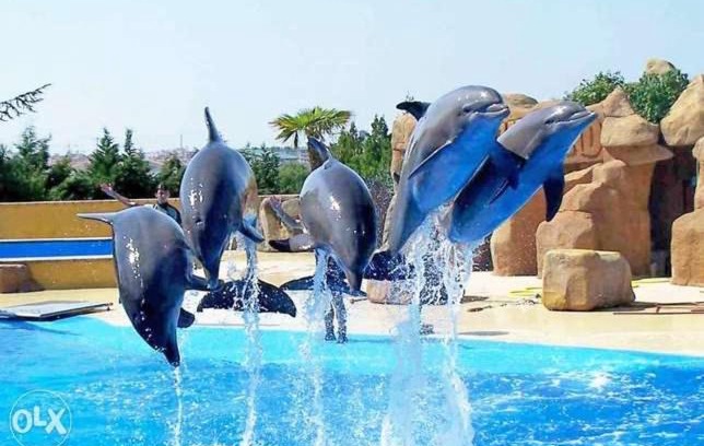 Sharm El Sheikh Villa | فيلا شرم الشيخ