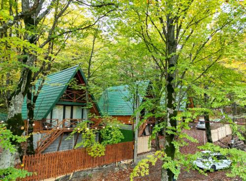 Mtskheta House | კოტეჯები ჩრდილში - Cottages in the shade