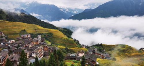 Longsheng Various Nationalities Autonomous County House | 龙脊梯田一棵树友缘阁民宿