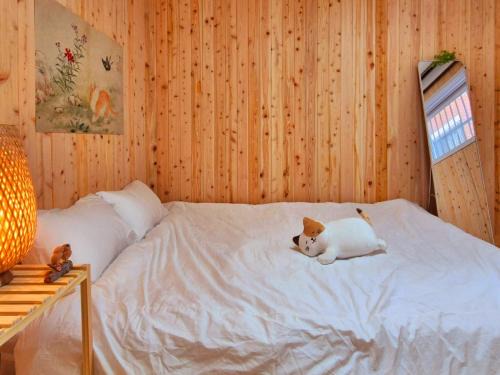 Suwon Apartment | #편백나무 #아지트 #Lucky Oasis #정자재래시장 #스타필드 #수원종합운동장 #커플추천 #낮시간이용가능 #평일할인