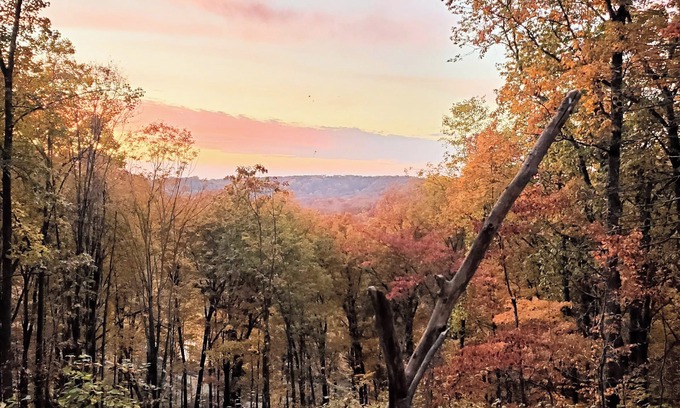 Nashville House | 1 bdrm Modern Oasis near everything.