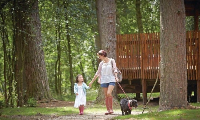 Pickering Cabin | 1 bedroom accommodation in Nr Pickering