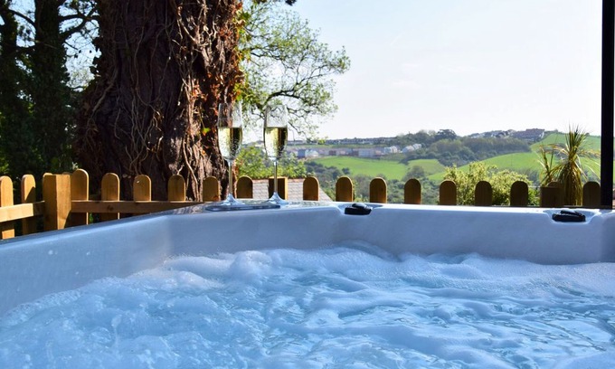 Littleham Cabin | 1 bedroom Cottage in Bideford - 41463