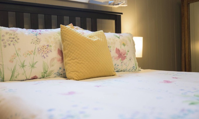 Anaconda House | 1 Bedroom Goosetown Getaway w/Twinkle Lights & Wifi