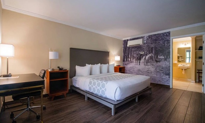 Ocala Hotel | 1 Queen Suite at Equus Inn, Pets Allowed, Seasonal Pool, Free Breakfast