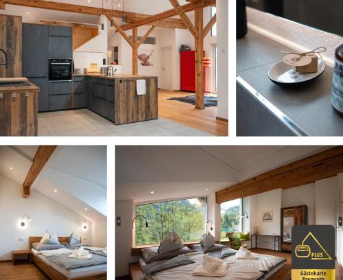 Buerserberg Apartment | 12er Loft