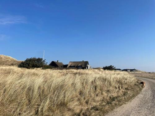 Houvig House | 13,000 Sqm Nature Plot Right Down To The Beach