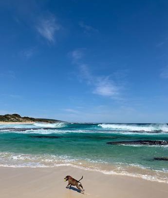 Yallingup House | 160 Steps From Yallingup Beach