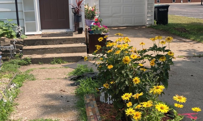 Little Falls House | 1888 LFalls Gem with Great Location. 3BR, 1BA, Comfy, Modern Kit, WiFi, Big Yard
