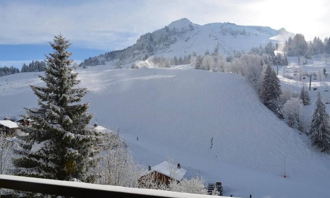 Le Chinaillon Apartment | 1st floor, view ski slopes, balcony, parking, tv, ski locker, 22m², Le Grand Bornand