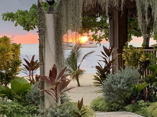 Negril Apartment | 2-bedroom Apt in an Ocean Front Resort in Jamaica - Enjoy 7 miles of White Sand Beach! apts