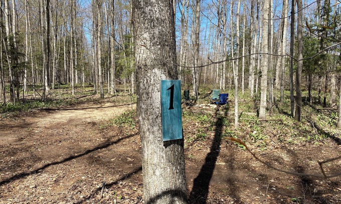 Beulah RV Rental | #2 Private Wooded Campsite for Tents or Small RV's
