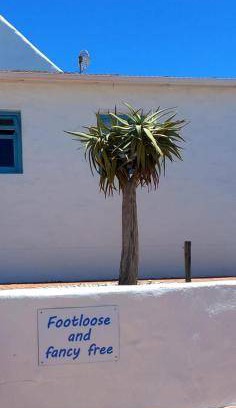 St. Helena Bay Bed & Breakfast | 20 m² Bed and breakfast ∙ 2 guests