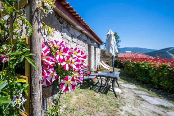 Mondim de Basto House | 20 m² House ∙ 1 bedroom ∙ 2 guests