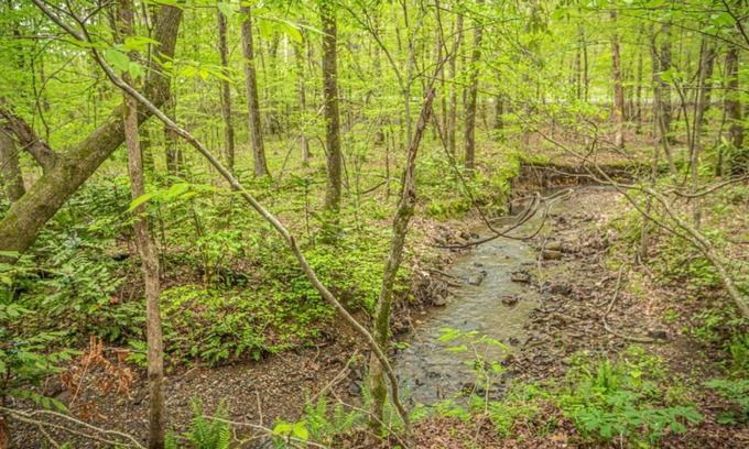 Hot Springs Village House | 22 Macotera Place