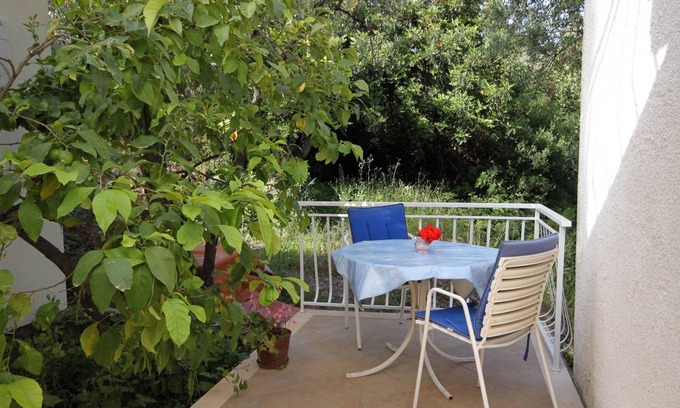 Molunat Apartment | 24 m² Studio flat ∙ 1 bedroom ∙ 2 guests