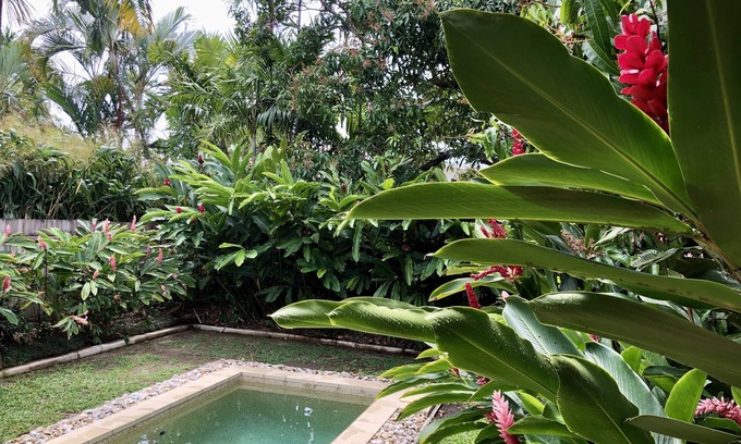 Palm Cove House | 3 minute walk to the beach and cafes!