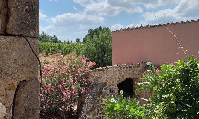 Rosieres House | 3-star ECOGITE 8/10Pers IN THE HEART OF THE VINEYARDS