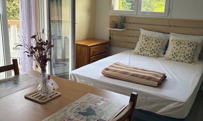 Eugenie-les-Bains Apartment | 400 meters from the thermal baths, lovely, quiet studio with balcony not overlooked.